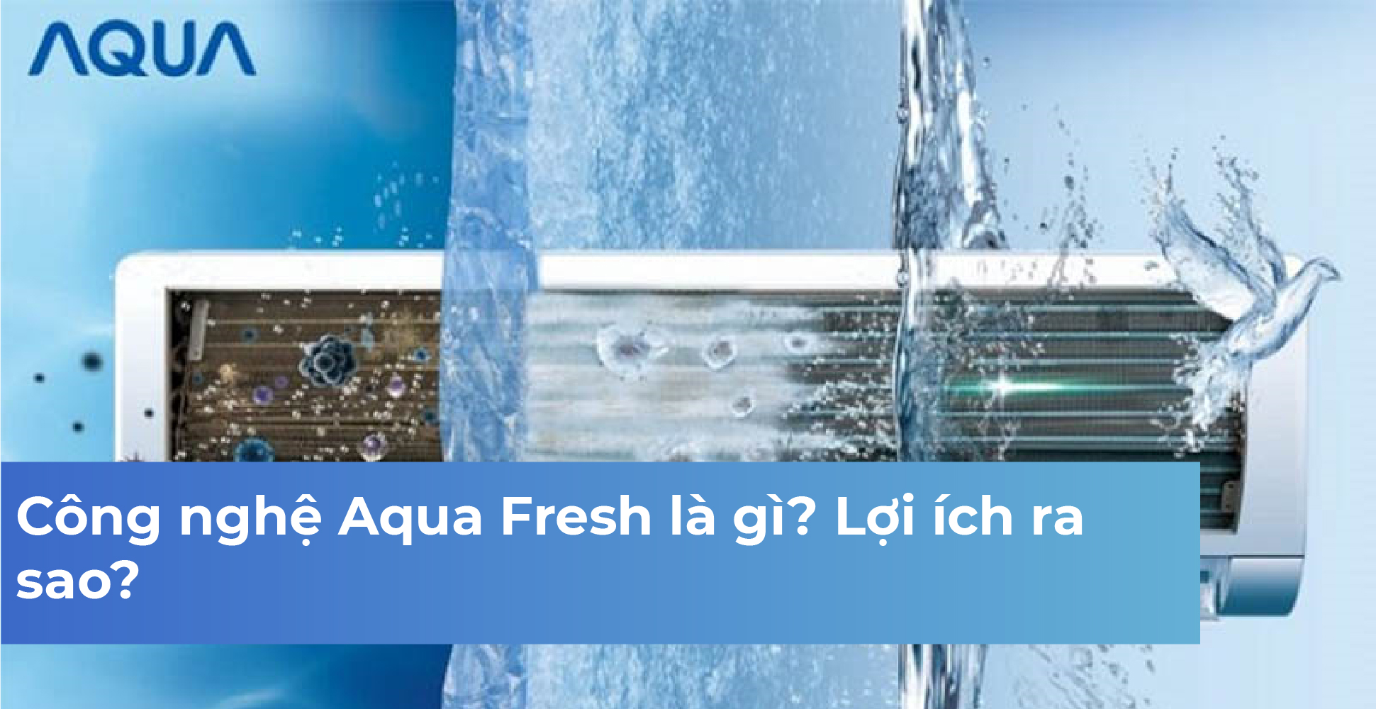 Công nghệ Aqua Fresh là gì? Lợi ích ra sao?